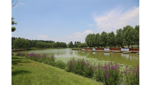標(biāo)題：包頭市民公園
瀏覽次數(shù)：1602
發(fā)表時(shí)間：2020-10-16
