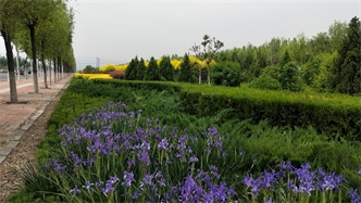 標題：張家口經開區秋季清水河生態綠廊建
瀏覽次數：2285
發表時間：2020-10-16