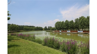 標題：包頭市民公園
瀏覽次數(shù)：1904
發(fā)表時間：2020-10-16