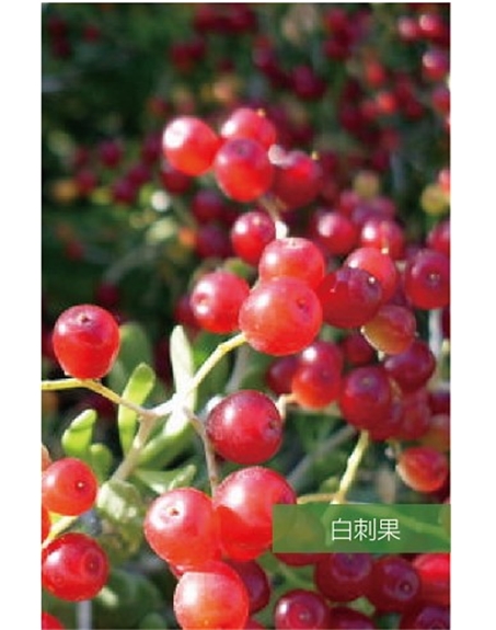 標(biāo)題：名貴樹(shù)種
瀏覽次數(shù)：1496
發(fā)表時(shí)間：2020-10-17