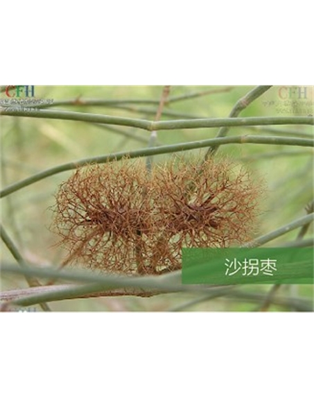 標(biāo)題：名貴樹種
瀏覽次數(shù)：1603
發(fā)表時間：2020-10-17