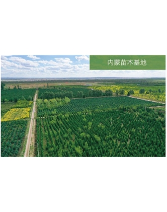 標題：苗木基地
瀏覽次數：2036
發表時間：2020-10-17