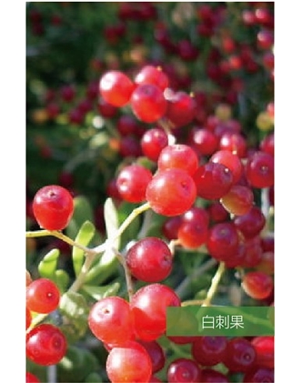 標(biāo)題：名貴樹種
瀏覽次數(shù)：1725
發(fā)表時間：2020-10-17