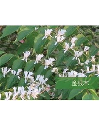 標(biāo)題：?jiǎn)坦嗄?瀏覽次數(shù)：1500
發(fā)表時(shí)間：2020-10-17