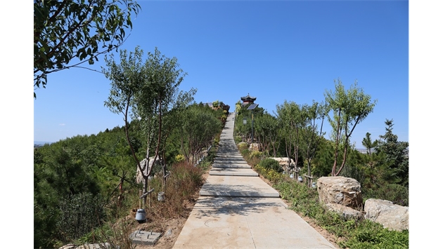 標(biāo)題：張家口太子山山體修復(fù)
瀏覽次數(shù)：18401
發(fā)表時(shí)間：2020-11-12