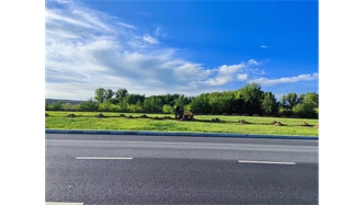 標題：伊利現(xiàn)代智慧健康谷道路綠化建設(shè)項目
瀏覽次數(shù)：1563
發(fā)表時間：2023-11-07